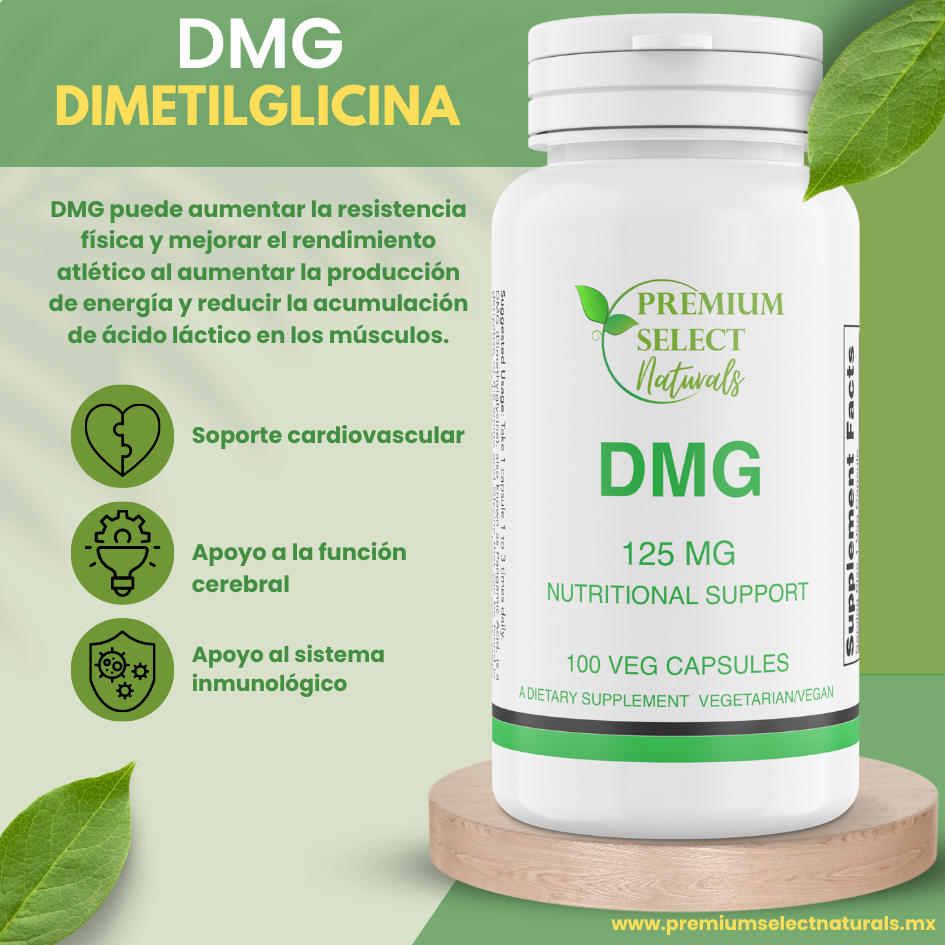 PSN-DMG-Frontal-3D-esp