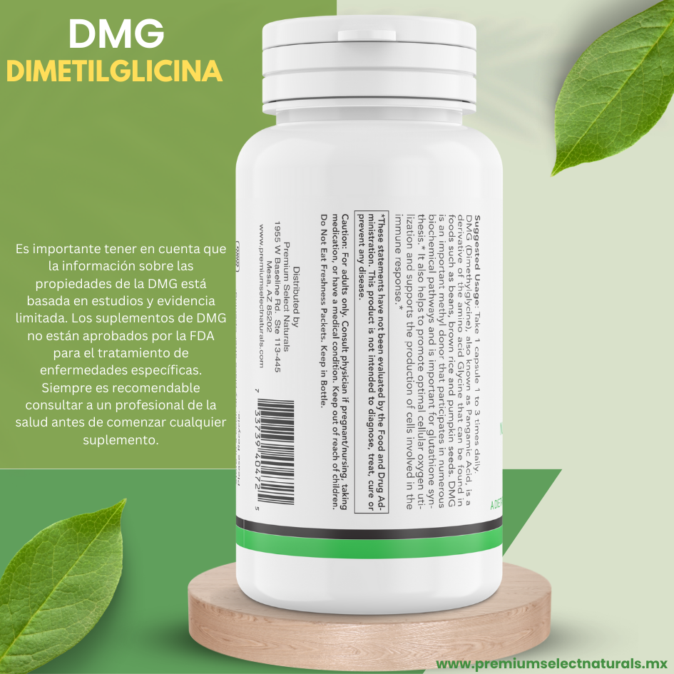 PSN-DMG-Lado-O-3D-esp