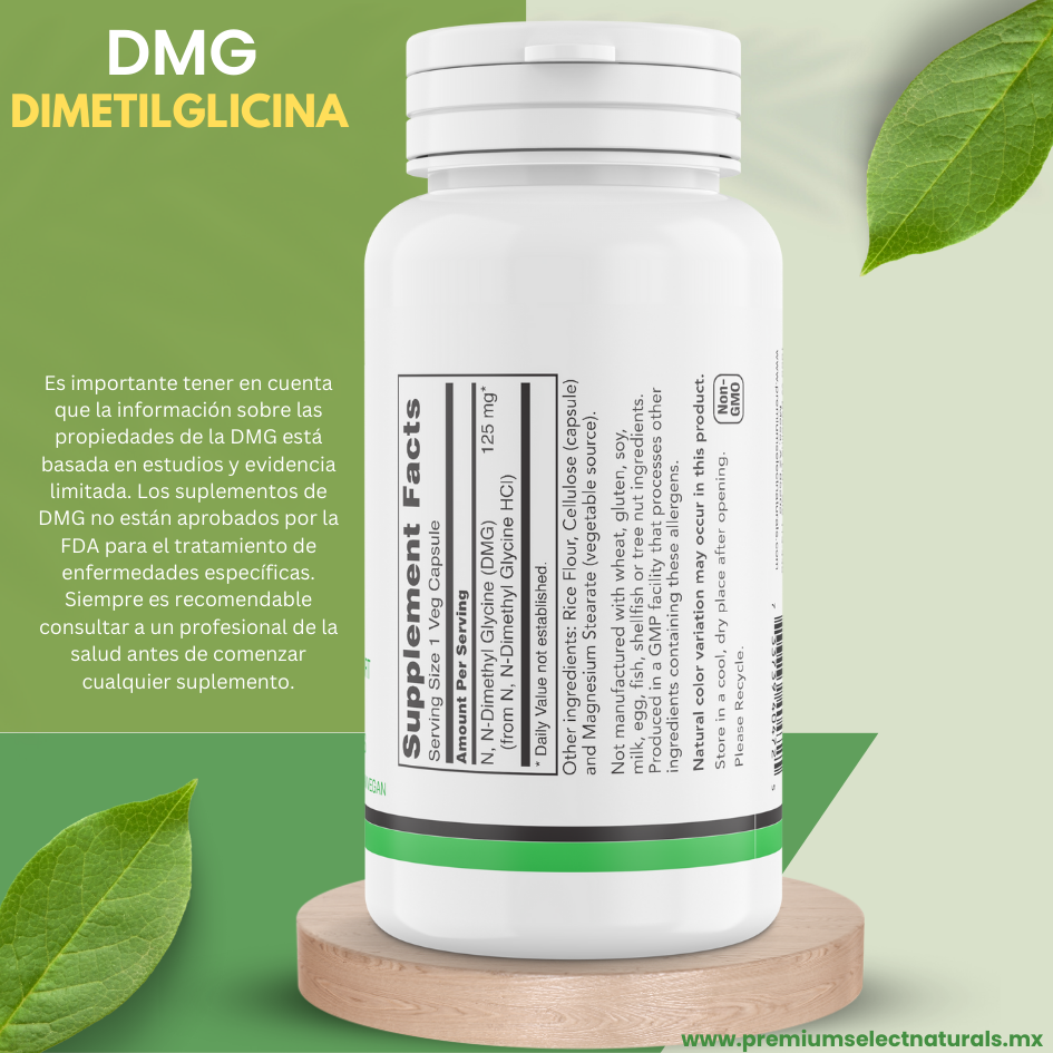 PSN-DMG-Lado-S-3D-esp