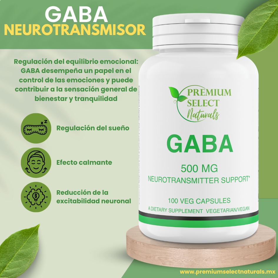 PSN-GABA-Frente-3D-esp