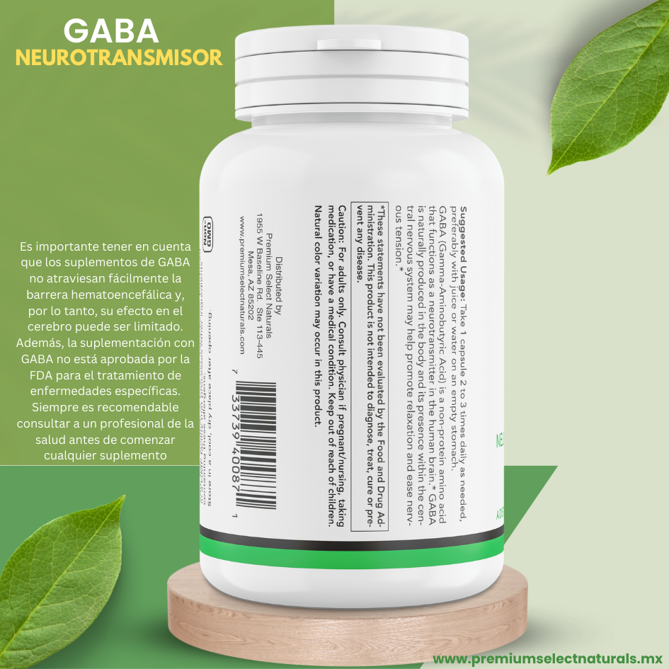 PSN-GABA-Lado-O-3D-esp