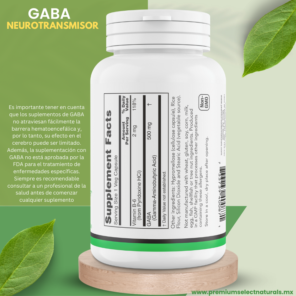 PSN-GABA-Lado-S-3D-esp