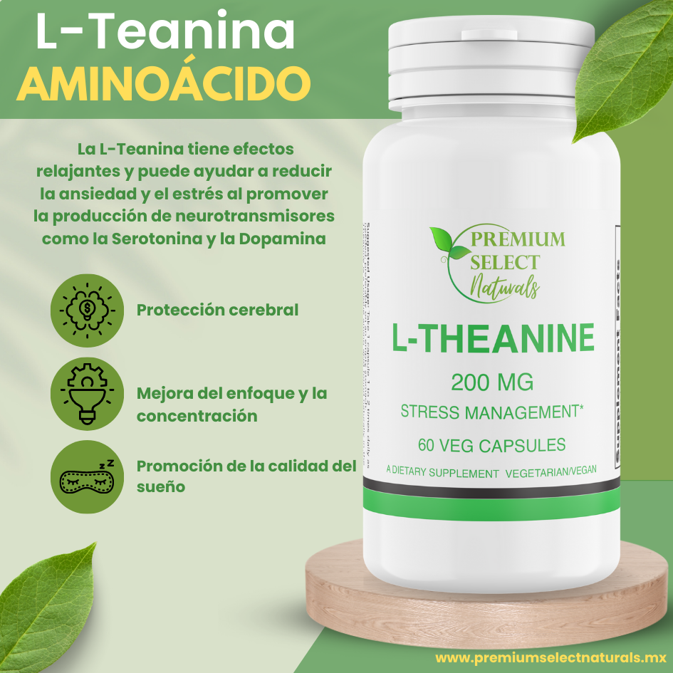 PSN-Theanine-Front-3D-esp